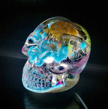 Load image into Gallery viewer, The Hot  Damn! - Resin Skull
